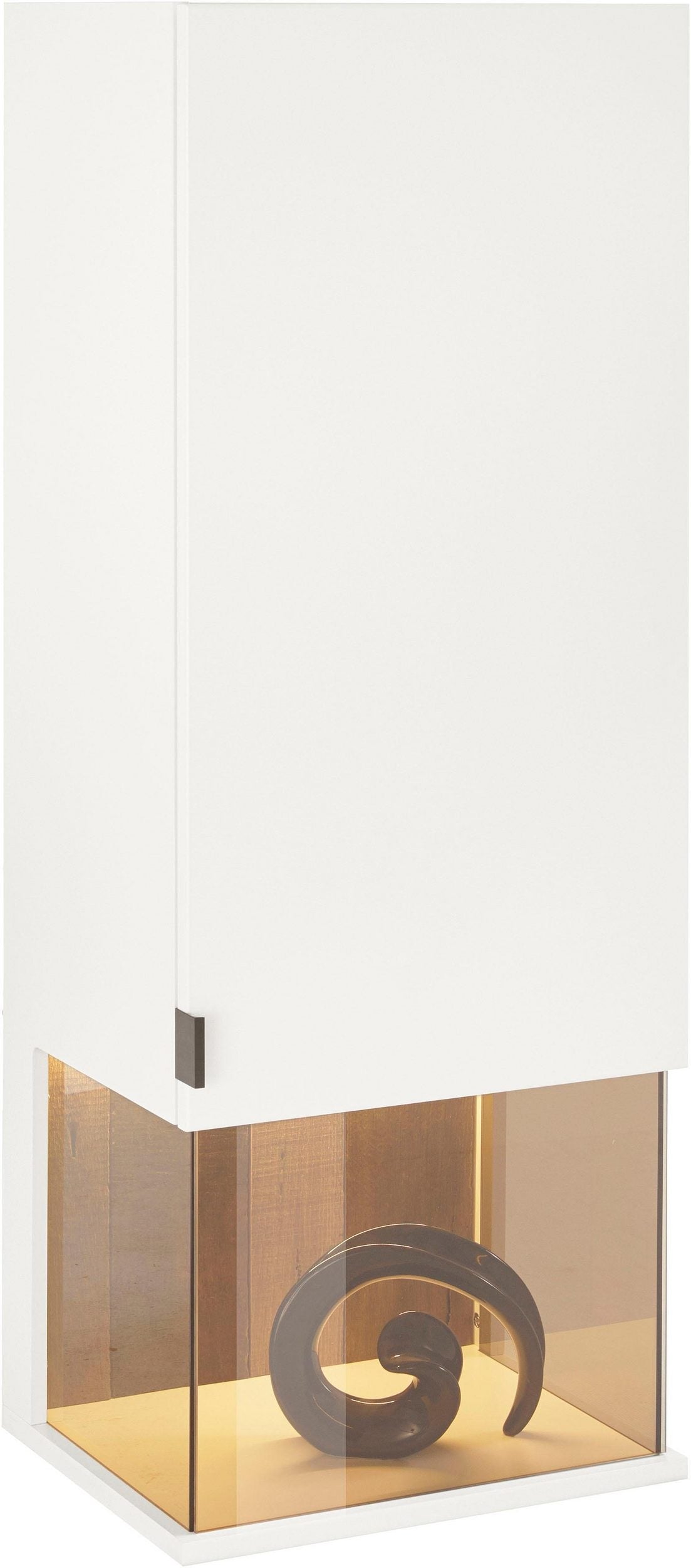 Vitrina suspendata Modena Arboteca