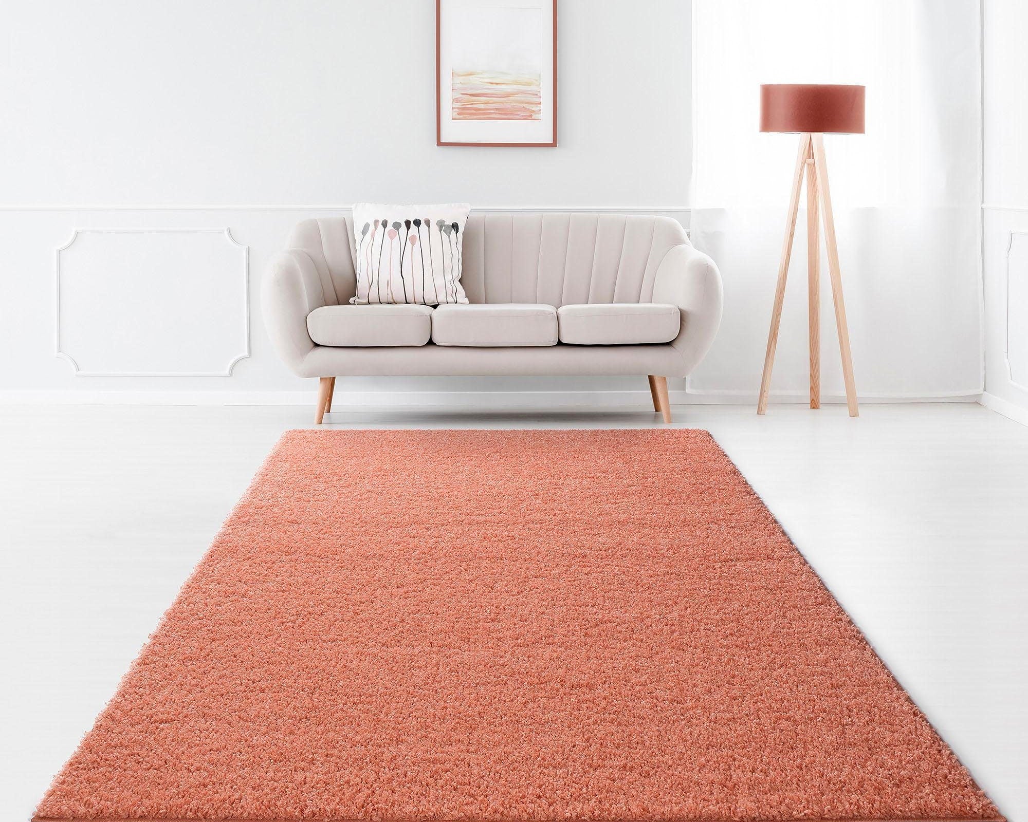Covor Shaggy Soft, fir înalt și moale, 240 x 320 cm Arboteca