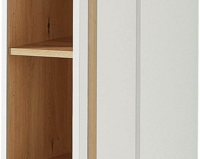 Dulap suspendat Loft Two, PAL si MDF, 1 usa, 3 rafturi Arboteca