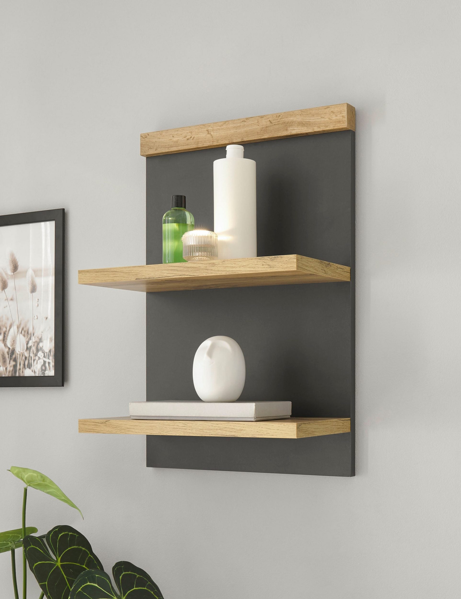 Polita Westminster, Gri-Stejar, 40 cm Arboteca