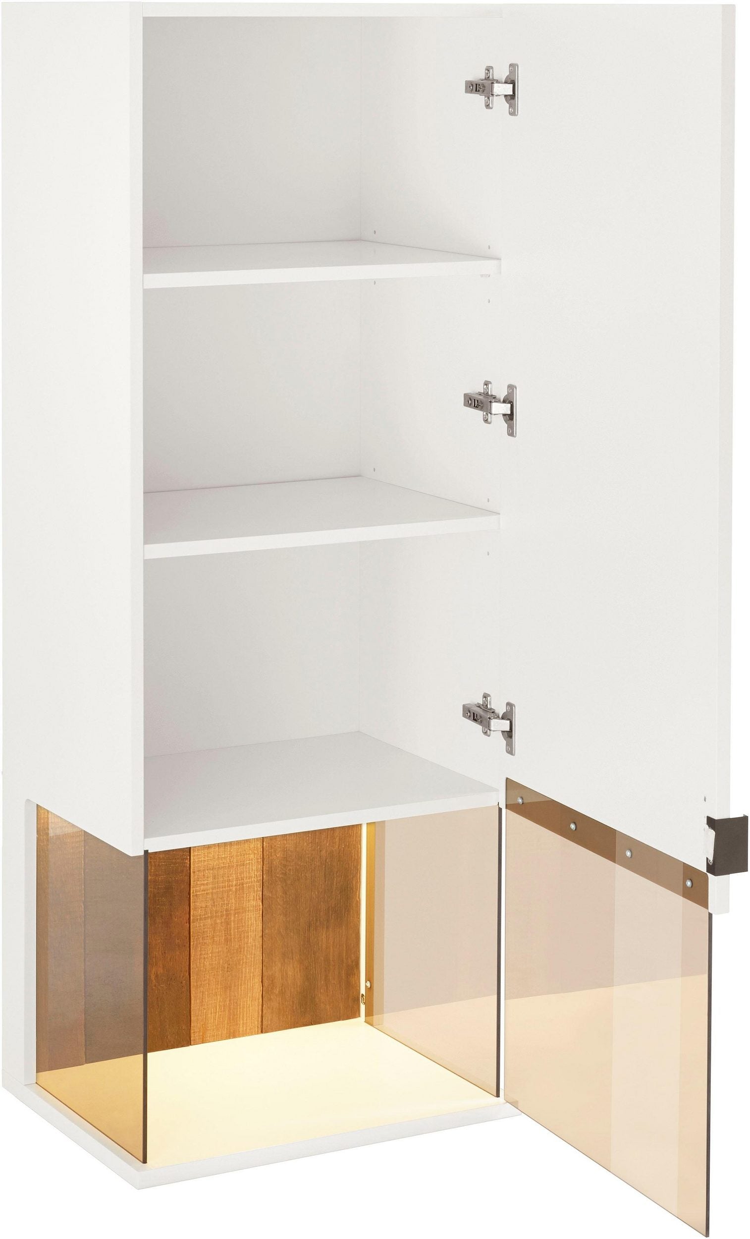 Vitrina suspendata Modena Arboteca