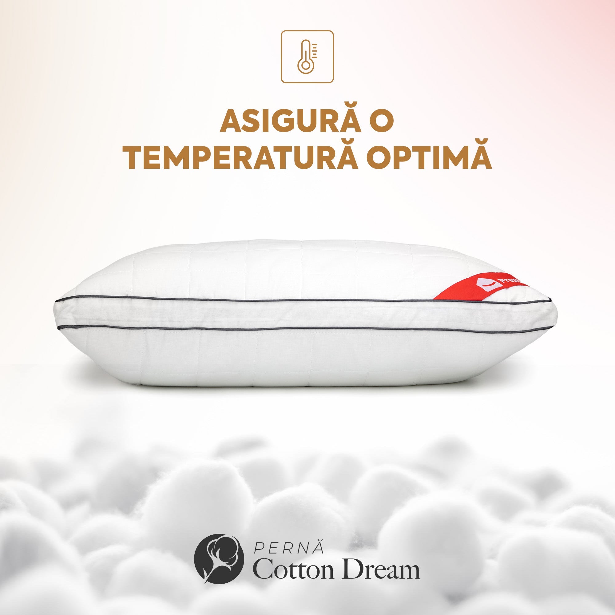 Set 2 x Perne Cotton Dream cu microfibră, husă bumbac, 50x70 cm Arboteca