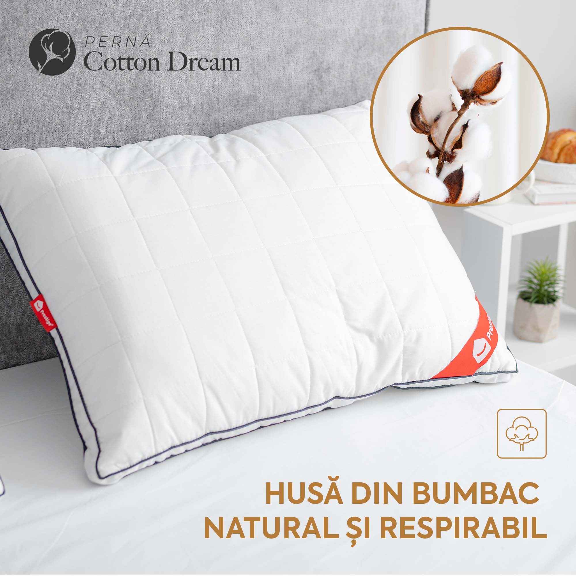 Set 2 x Perne Cotton Dream cu microfibră, husă bumbac, 50x70 cm Arboteca