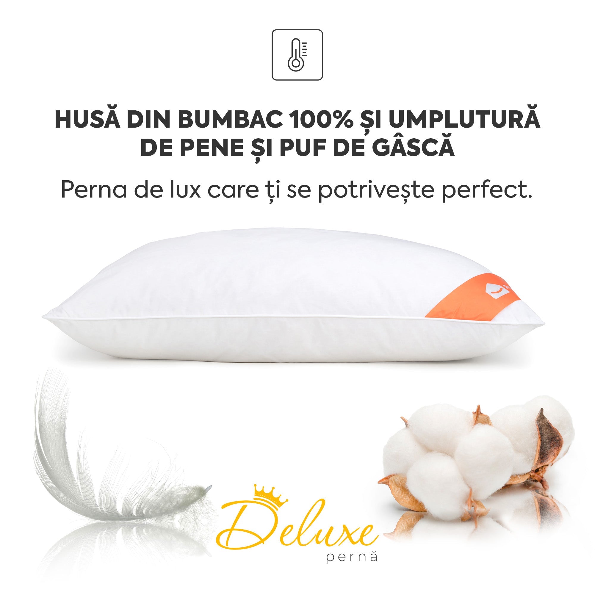 Set 10 x Perne Deluxe cu pene și puf de gâscă, husă bumbac, 50x70 cm Arboteca