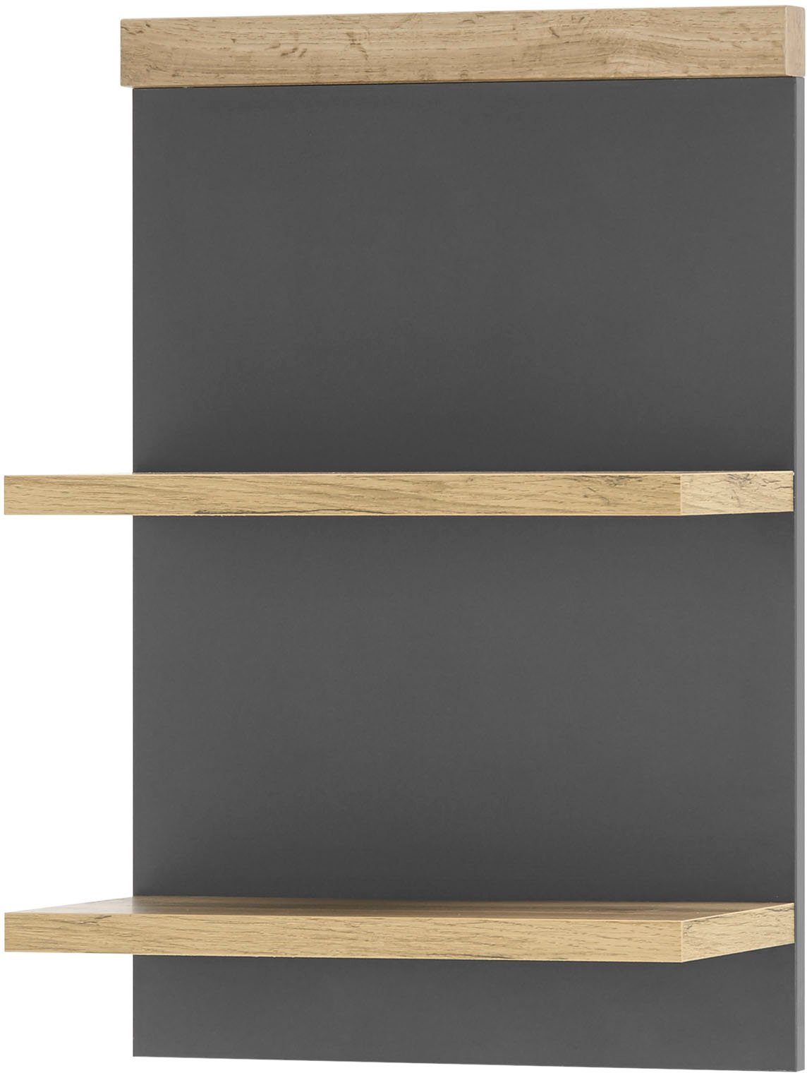 Polita Westminster, Gri-Stejar, 40 cm Arboteca