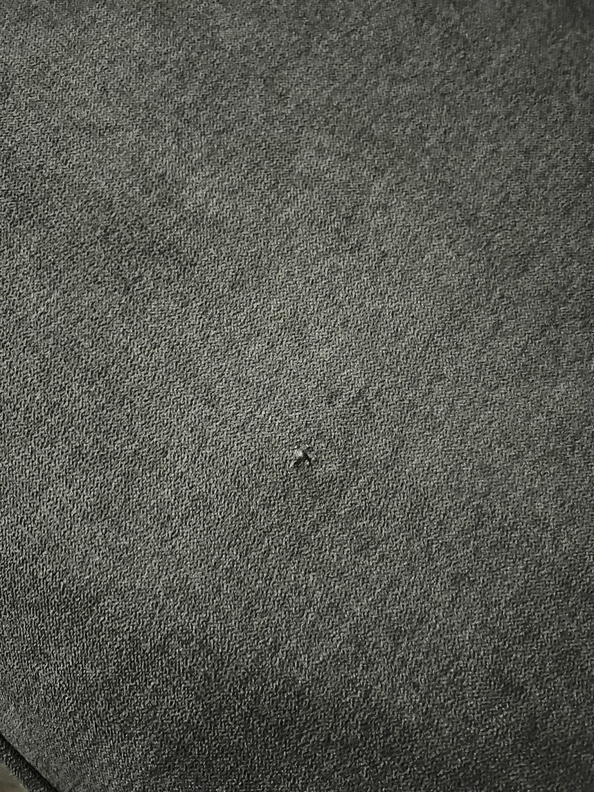 Canapea Effie , Forma Rotunjita, Gri, 215 cm latime Arboteca