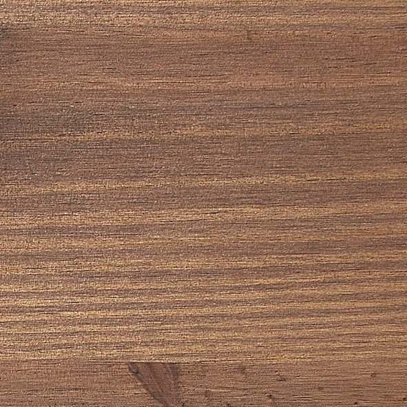 Polita Mexico Arboteca